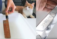 Mildly Impressed Kitty Watches Man Beautifully Restore Rusty Knife