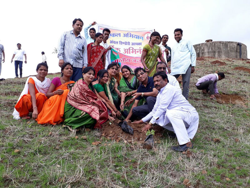 1 5m volunteers in india plant record breaking 66 million trees in 12 hours 1 1.5m Volunteers in India Plant Record Breaking 66 Million Trees in 12 Hours