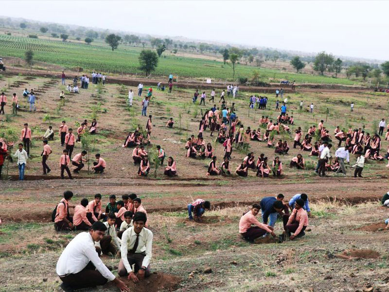 1 5m volunteers in india plant record breaking 66 million trees in 12 hours 5 1.5m Volunteers in India Plant Record Breaking 66 Million Trees in 12 Hours