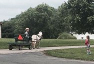 This Guy’s Cousin Made Friends With a Little Amish Boy. This is Him Stopping By to Say Hi
