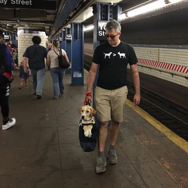 The MTA Banned Dogs on the Subway Unless They Fit in a Bag, but this is ...