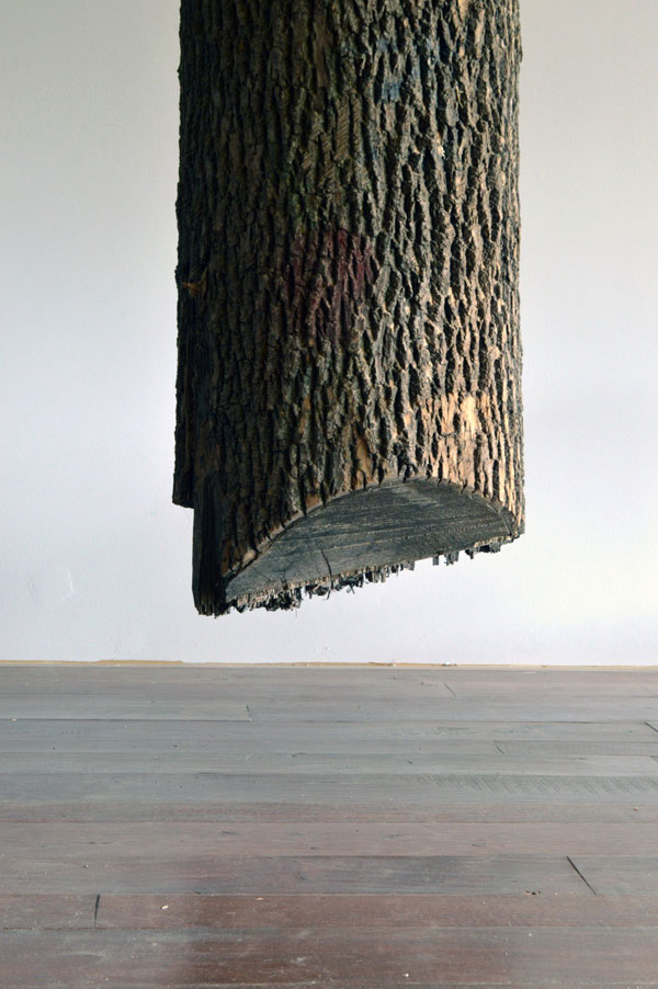 schrodingers wood by maskull lasserre 3 This Was Carved from a Single Ash Tree Trunk