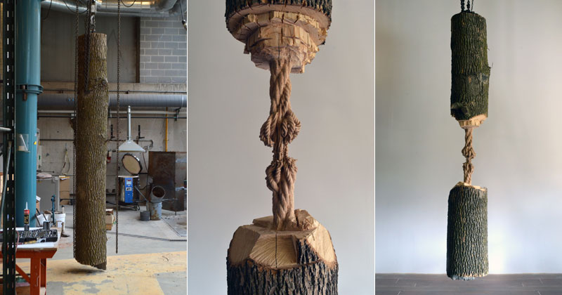 schrodingers wood by maskull lasserre 8 This Was Carved from a Single Ash Tree Trunk