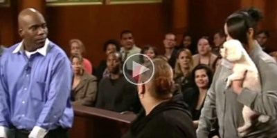 Stolen Dog Gets Brought Into Courtroom and Immediately Recognizes Real Owner