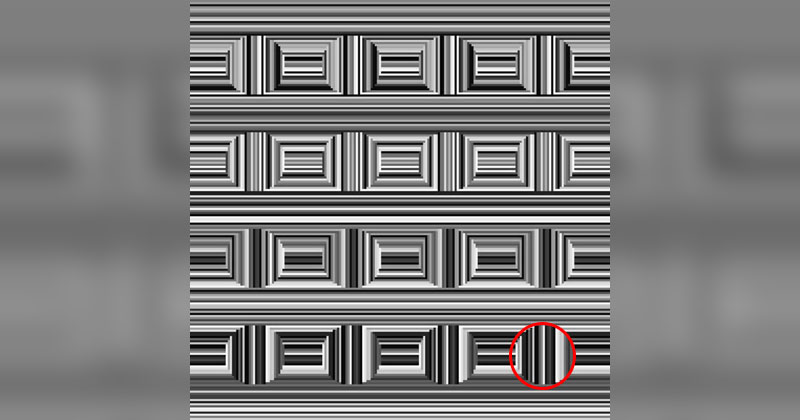 There are 16 Circles in this Image. It's Like a Simpler 'Magic Eye'