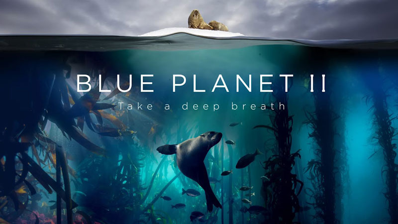 blue planet 2 putlocker