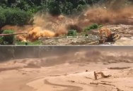 Terrifying Footage Shows the Moment a Dam in Laos Collapses