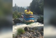 What You’ve Never Seen a Guy Go Down a River in 6 Rafts Before?