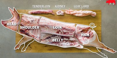 How to Butcher an Entire Pig: Every Cut of Pork Explained