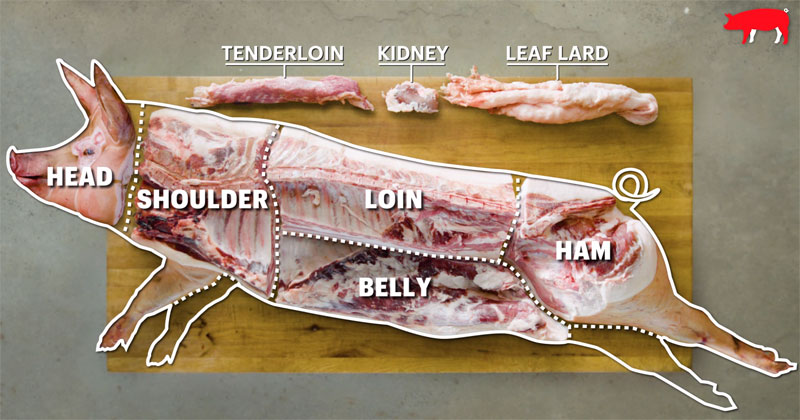 How to Butcher an Entire Pig: Every Cut of Pork Explained