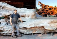 Artist Transforms Fallen Redwood Into Giant Octopus (15 Photos)