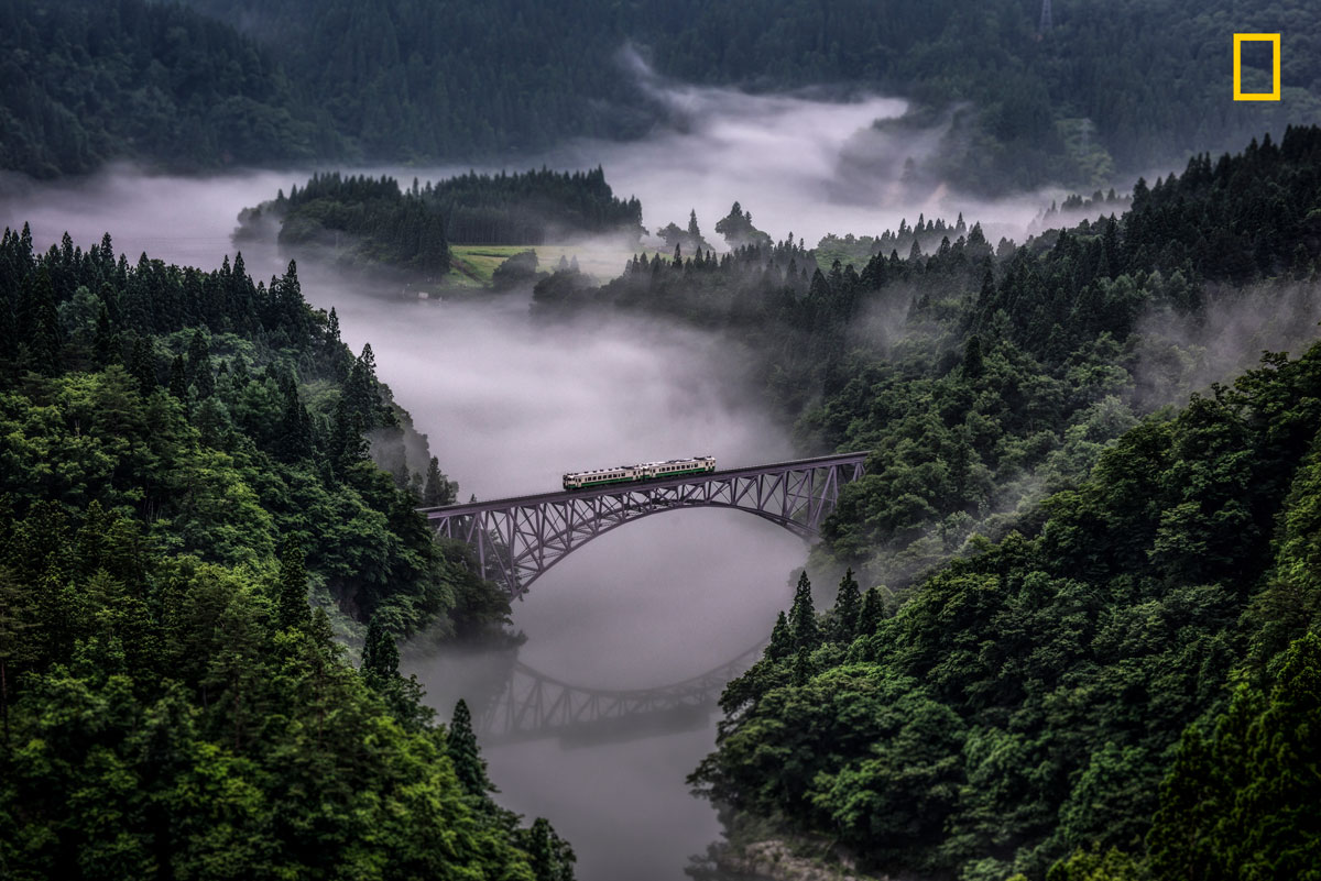 prod yourshot 61445 10898184 003 15 Highlights from the 2017 Nat Geo Nature Photographer of the Year Contest