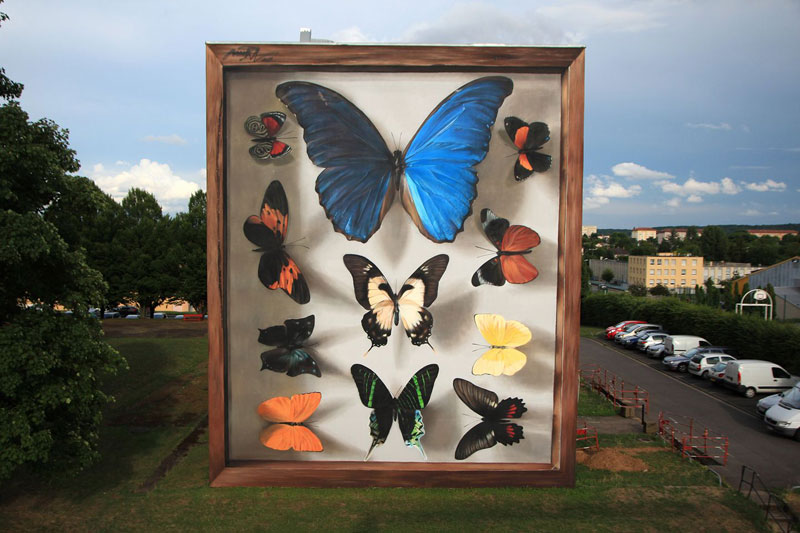 3d buterfly specimen boxes by mantra 1 Artist Transforms Walls Into Giant 3D Specimen Boxes for Butterflies