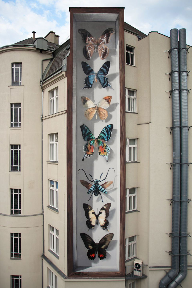3d buterfly specimen boxes by mantra 3 Artist Transforms Walls Into Giant 3D Specimen Boxes for Butterflies
