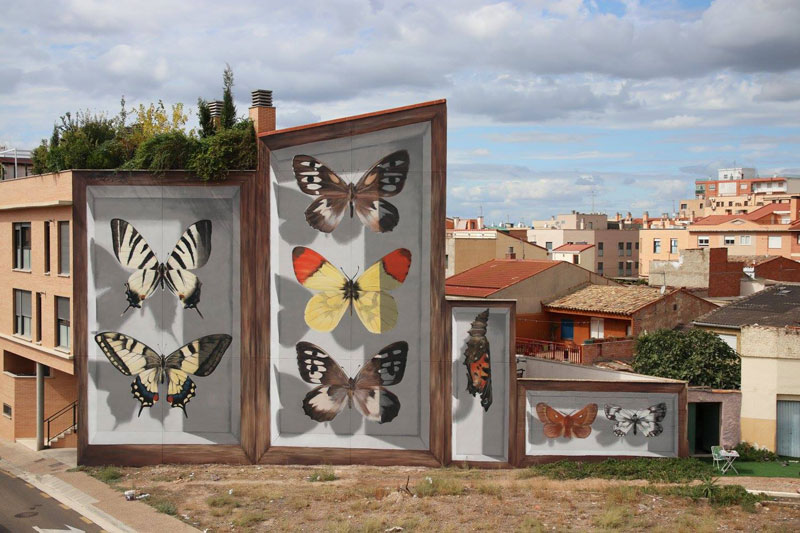 3d buterfly specimen boxes by mantra 4 Artist Transforms Walls Into Giant 3D Specimen Boxes for Butterflies