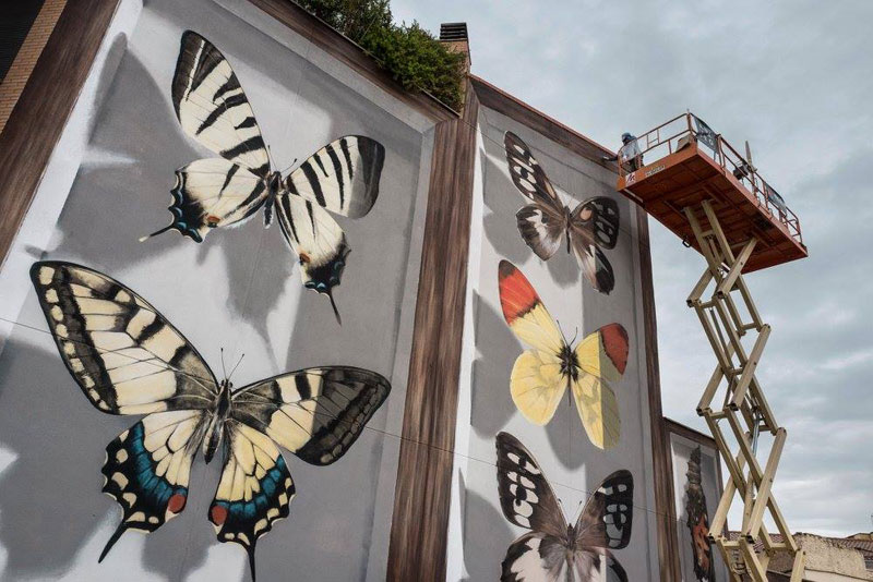 3d buterfly specimen boxes by mantra 5 Artist Transforms Walls Into Giant 3D Specimen Boxes for Butterflies