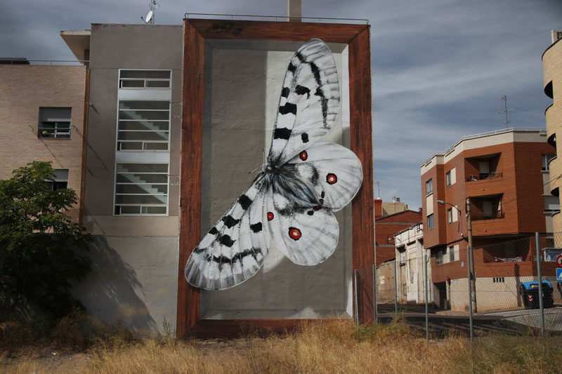 3d buterfly specimen boxes by mantra 6 Artist Transforms Walls Into Giant 3D Specimen Boxes for Butterflies