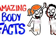 3.5 Minutes of Amazing Body Facts