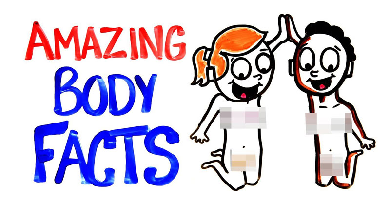 3.5 Minutes of Amazing Body Facts