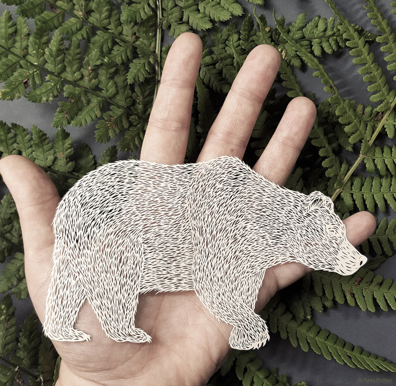 amazing hand cut paper animals by pippa dyrlaga 1 Amazing Hand Cut Paper Animals by Pippa Dyrlaga