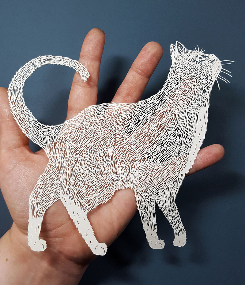 amazing hand cut paper animals by pippa dyrlaga 3 Amazing Hand Cut Paper Animals by Pippa Dyrlaga