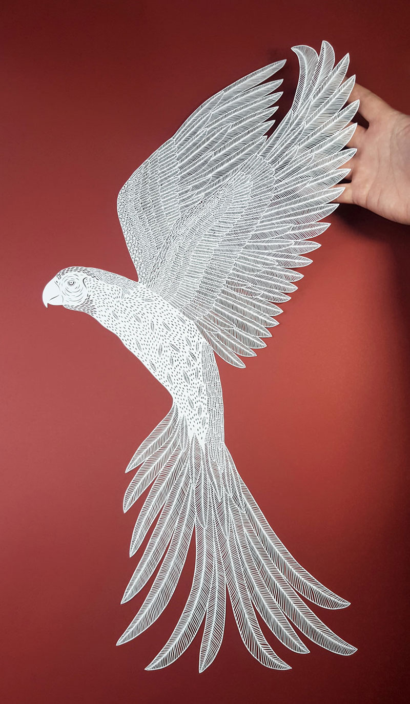 amazing hand cut paper animals by pippa dyrlaga 7 Amazing Hand Cut Paper Animals by Pippa Dyrlaga