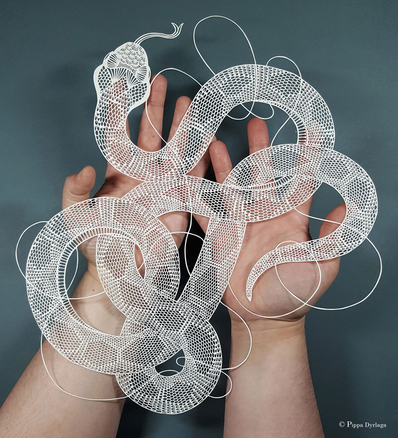 Amazing Hand Cut Paper Animals by Pippa Dyrlaga » TwistedSifter