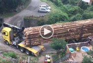Logging Truck Makes Impossibly Tight Right Turn