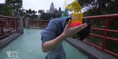 Remember Slinkies? People are Now Doing Awesome Tricks With Them