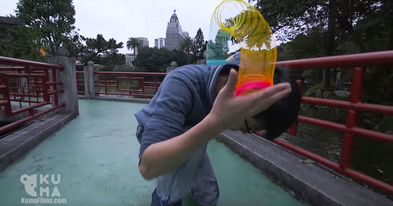 Remember Slinkies? People are Now Doing Awesome Tricks With Them
