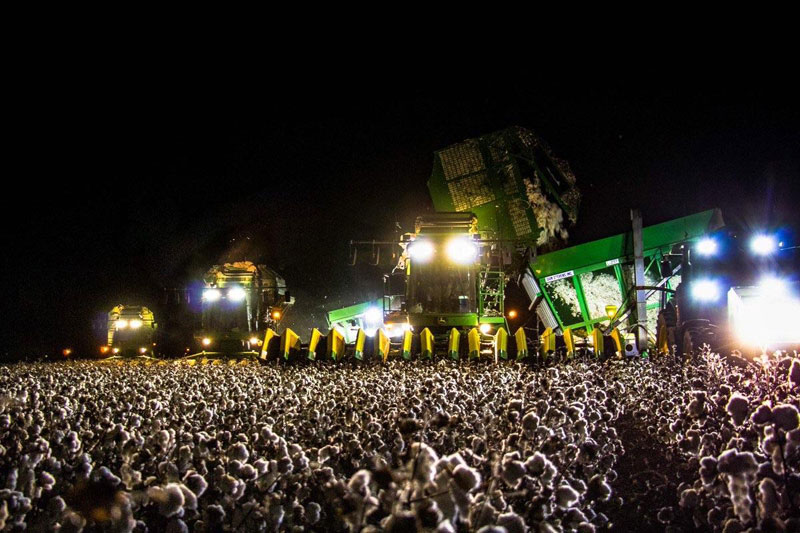 cotton harvester at night looks like a concert crowd When You Realize the Concert Crowd is a Cotton Harvester at Night