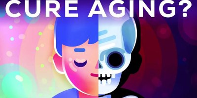 How Scientists are Trying to Optimize 'Healthspans' Instead of Lifespans