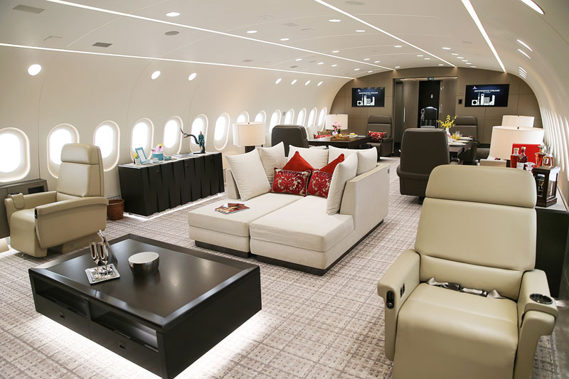 inside private boeing 787 8 dreamliner 3 Inside the Worlds Only Private 787 Dreamliner (10 Photos)