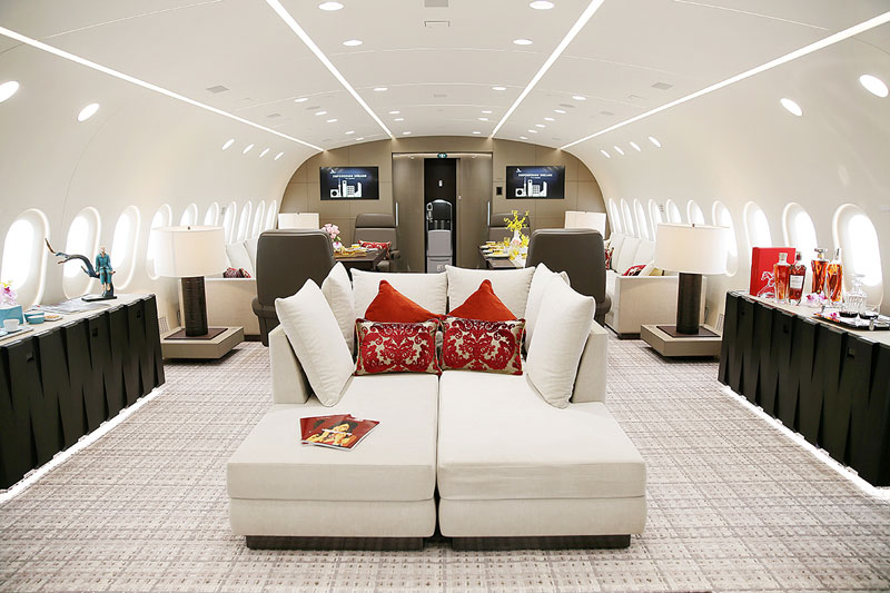 inside private boeing 787 8 dreamliner 4 Inside the Worlds Only Private 787 Dreamliner (10 Photos)