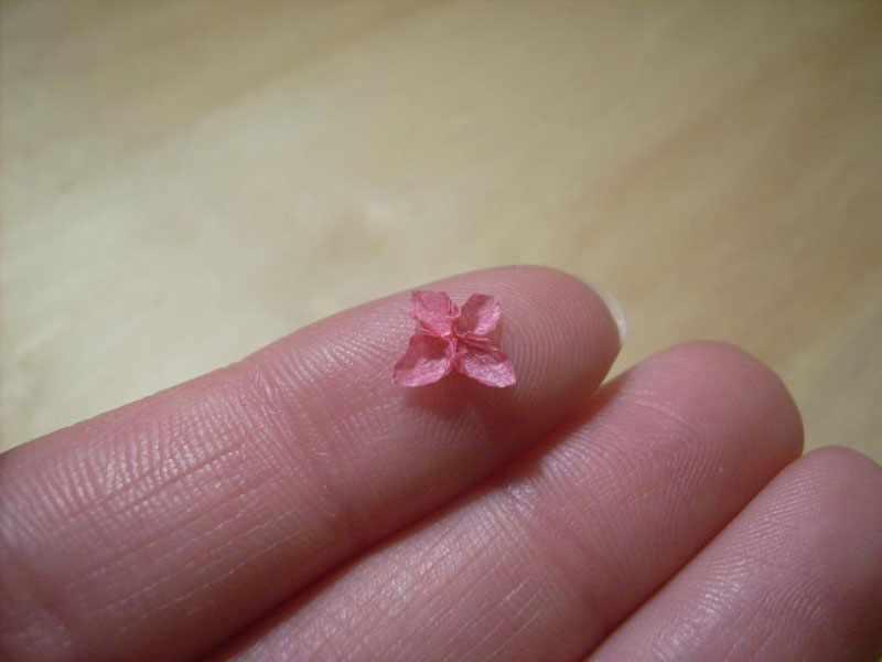 miniature origami with toothpicks by anja markiewicz 3 Paper Artist Uses Toothpicks to Fold Impossibly Small Origami