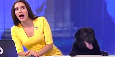 The Best News Bloopers of 2017 are Here and They're Glorious