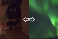 What It’s Like to Just Wake up, Walk Outside, and See the Northern Lights