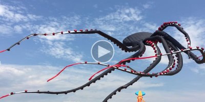 This Giant Flying Octopus Kite is Absolutely Mesmerizing