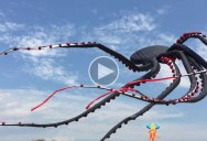 This Giant Flying Octopus Kite is Absolutely Mesmerizing