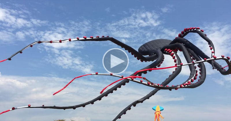 This Giant Flying Octopus Kite is Absolutely Mesmerizing