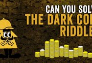 Can You Solve the Dark Coin Riddle?