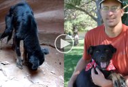 Guy Rescues Dog Abandoned at the Bottom of a 350 ft Canyon and Now They’re Best Buds