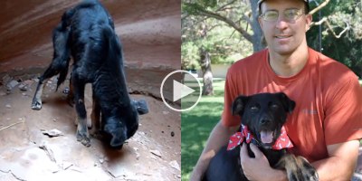 Guy Rescues Dog Abandoned at the Bottom of a 350 ft Canyon and Now They're Best Buds
