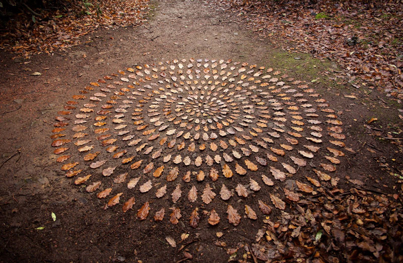 Artist Arranges Natural Objects Into Ephemeral Patterns and Designs ...