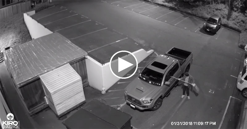 Radio Station Gets Their Sports Guy To Do a Play-By-Play of a Vandal in Their Parking Lot