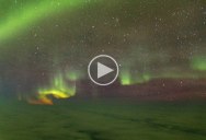 When You See the Northern Lights on Your Flight to Iceland to See.. the Northern Lights