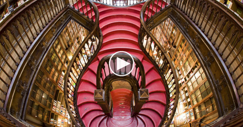 The Hidden Way Stairs Shape Your Life