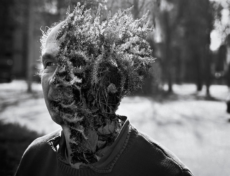 treebeard by cal redback 3 7 Surreal Portraits of Plants Taking Over Faces