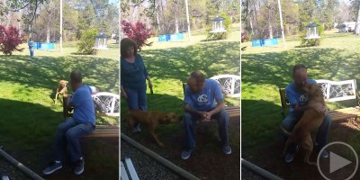 Dog Doesn't Recognize Owner After Losing 50 lbs Until He Sniffs Him