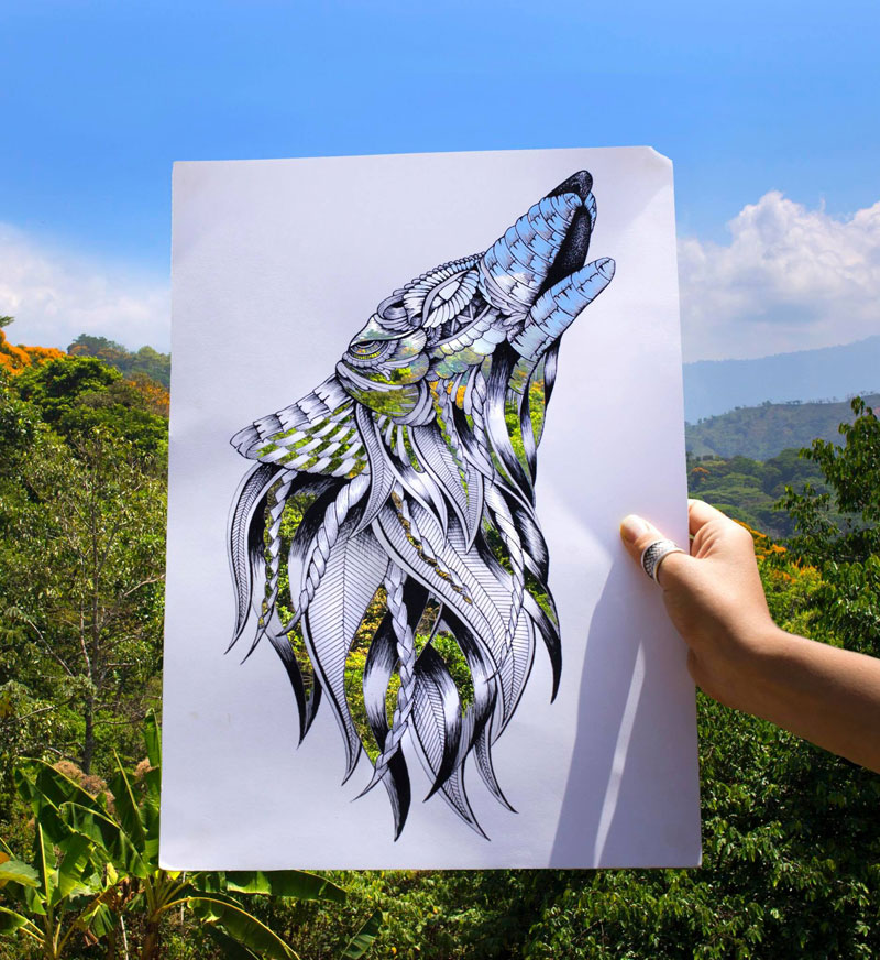 faye halliday cutouts filled in by nature 1 Artist Makes Intricate Animal Cutouts and Lets Nature Fill in the Rest